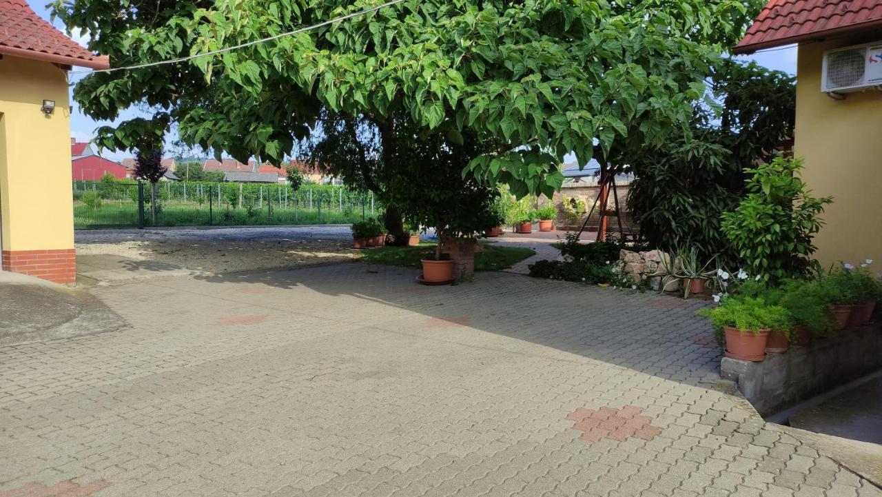 Eckhardt Vendégház Villány Exterior foto